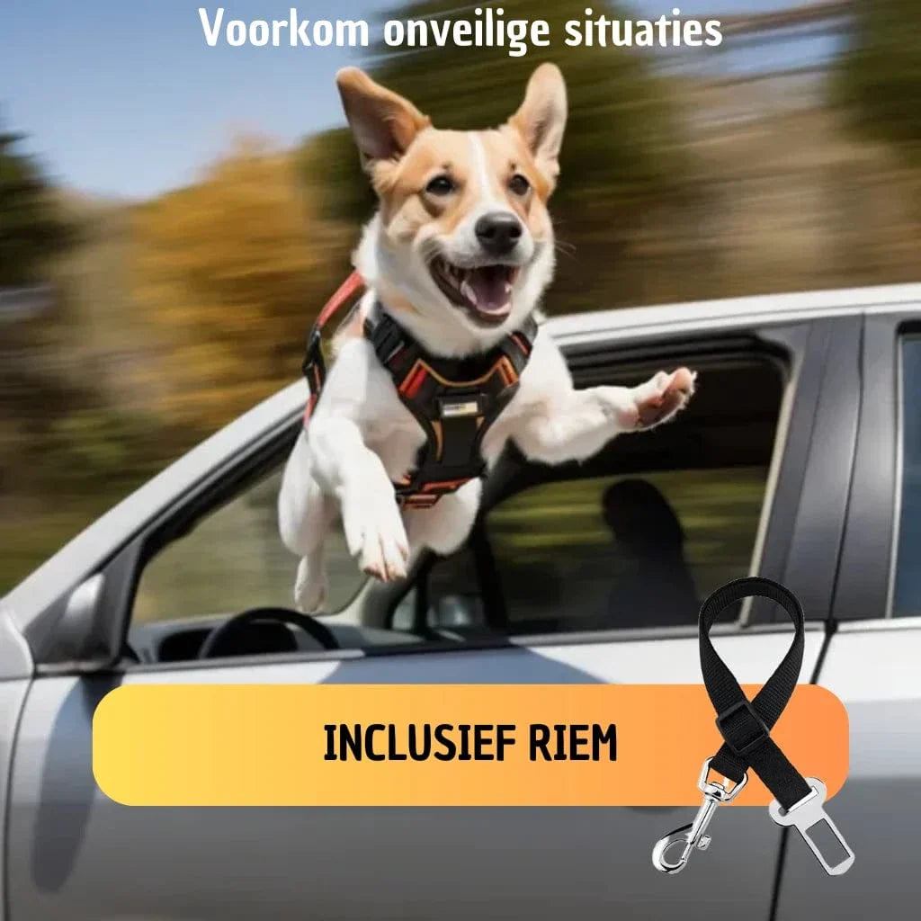 Hondenmand auto