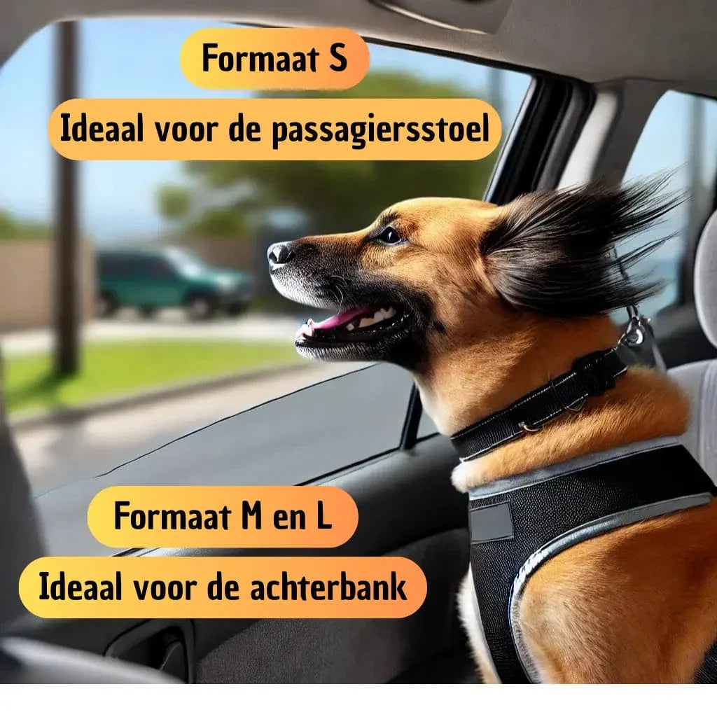 Hondenmand auto